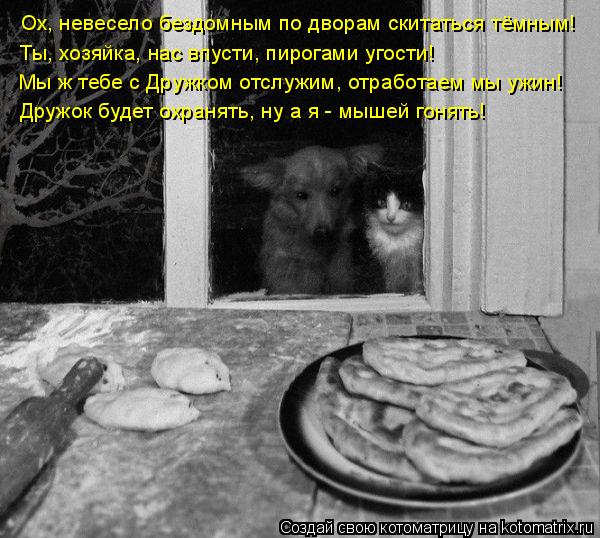 Ох, невесело бездомным по дворам скитаться тёмным! Ты, хозяйка, нас впусти, пирогами угости! Мы ж теб... Котоматрица: Ох, невесело бездомным по дворам скитаться тёмным! Ты, хозяйка, нас впусти, пирогами угости! Мы ж тебе с Дружком отслужим, отработаем мы ужин!