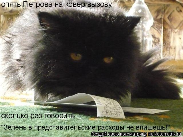 опять Петрова на ковер вызову, сколько раз говорить: "Зелень в представительские расходы не впишешь... Котоматрица: опять Петрова на ковер вызову, сколько раз говорить: "Зелень в представительские расходы не впишешь!"