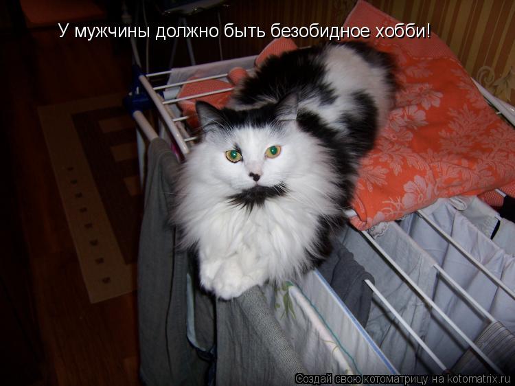 У мужчины должно быть безобидное хобби!... Котоматрица: У мужчины должно быть безобидное хобби!