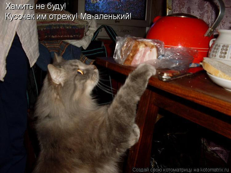 Хамить не буду! Кусочек им отрежу! Ма-аленький!... Котоматрица: Хамить не буду! Кусочек им отрежу! Ма-аленький!
