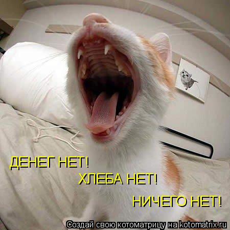 ДЕНЕГ НЕТ! ХЛЕБА НЕТ! НИЧЕГО НЕТ!... Котоматрица: ДЕНЕГ НЕТ! ХЛЕБА НЕТ! НИЧЕГО НЕТ!