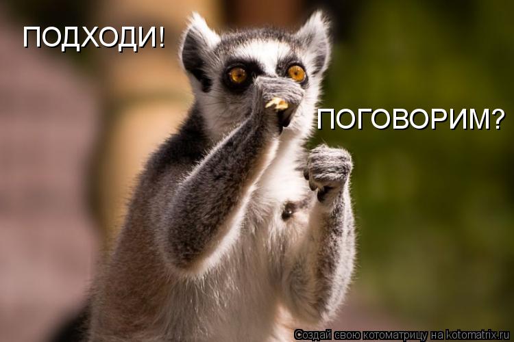 ПОДХОДИ! ПОГОВОРИМ?... Котоматрица: ПОДХОДИ! ПОГОВОРИМ?