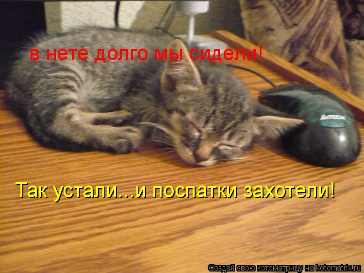 Котоматрица: в нете долго мы сидели! Так устали...и поспатки захотели!