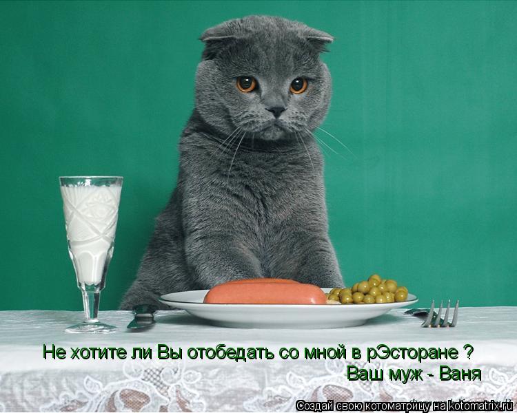 Не хотите ли Вы отобедать со мной в рЭсторане ? Ваш муж - Ваня... Котоматрица: Не хотите ли Вы отобедать со мной в рЭсторане ? Ваш муж - Ваня