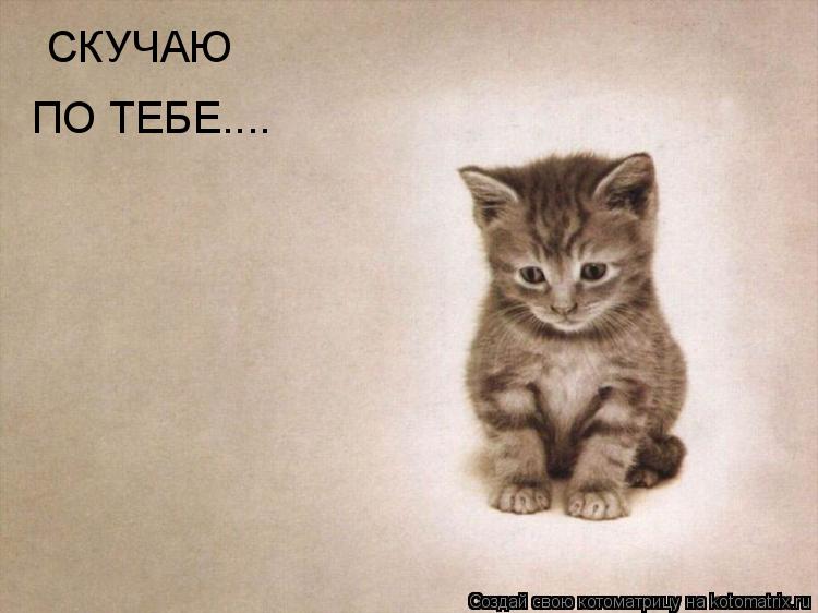 СКУЧАЮ ПО ТЕБЕ....... Котоматрица: СКУЧАЮ ПО ТЕБЕ....
