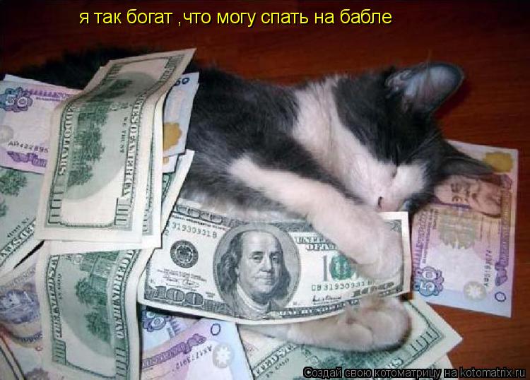 я так богат ,что могу спать на бабле... Котоматрица: я так богат ,что могу спать на бабле