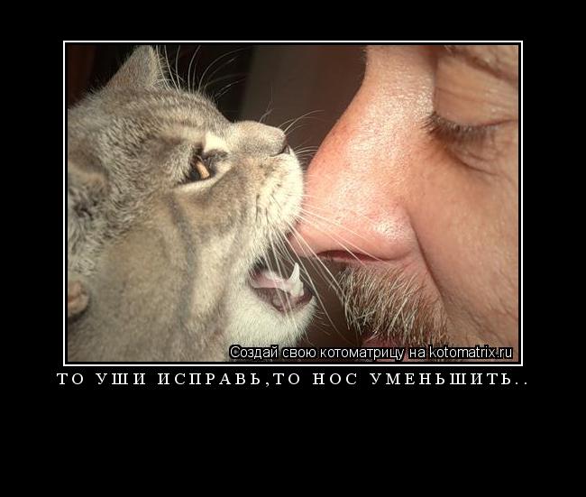 Котоматрица:  
