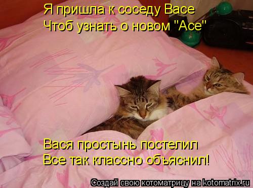 Я пришла к соседу Васе Чтоб узнать о новом "Асе" Вася простынь постелил Все так классно объяснил!... Котоматрица: Я пришла к соседу Васе Чтоб узнать о новом "Асе" Вася простынь постелил Все так классно объяснил!