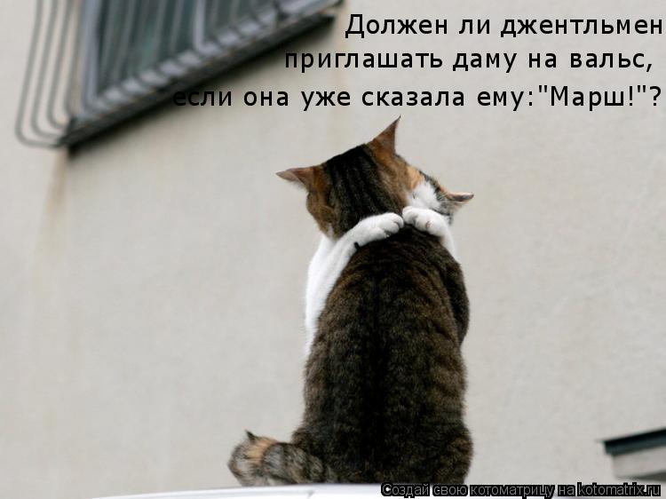 Должен ли джентльмен приглашать даму на вальс, если она уже сказала ему:"Марш!"?... Котоматрица: Должен ли джентльмен приглашать даму на вальс, если она уже сказала ему:"Марш!"?