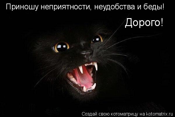 Приношу неприятности, неудобства и беды! Дорого! Приношу неприятности, неудобства и беды! Дорого!... Котоматрица: Приношу неприятности, неудобства и беды! Дорого! Приношу неприятности, неудобства и беды! Дорого!