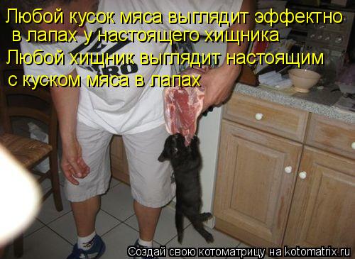 Любой кусок мяса выглядит эффектно в лапах у настоящего хищника Любой хищник выглядит настоящим с кус... Котоматрица: Любой кусок мяса выглядит эффектно в лапах у настоящего хищника Любой хищник выглядит настоящим с куском мяса в лапах