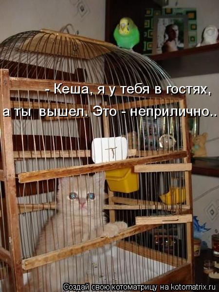 Котоматрица: а ты  вышел. Это - неприлично... - Кеша, я у тебя в гостях,