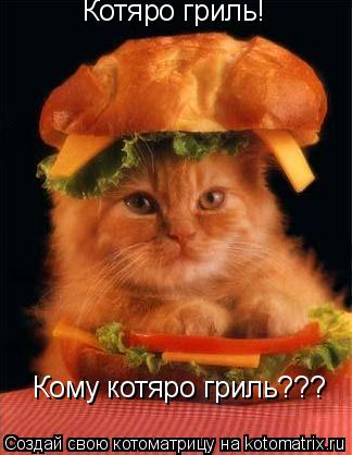 Котяро гриль! Кому котяро гриль???... Котоматрица: Котяро гриль! Кому котяро гриль???