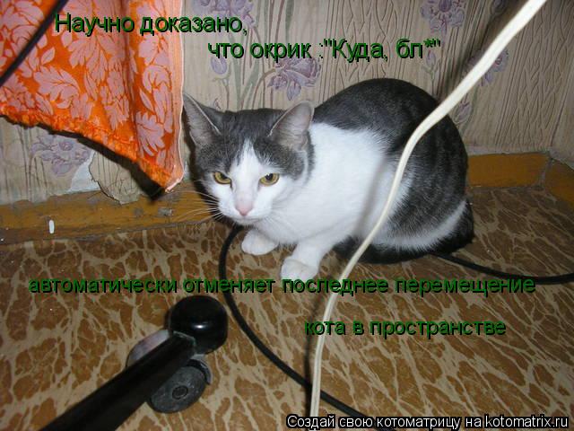 Котоматрица: Научно доказано,  что окрик :"Куда, бл*" автоматически отменяет последнее перемещение кота в пространстве