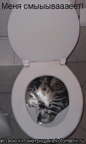 Меня смыыываааеет!... Котоматрица: Меня смыыываааеет!