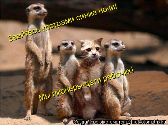 Звейтесь кострами синие ночи! Мы пионеры-дети рабочих!... Котоматрица: Звейтесь кострами синие ночи! Мы пионеры-дети рабочих!