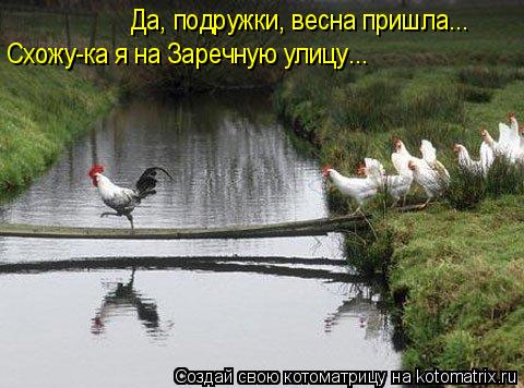 Да, подружки, весна пришла... Схожу-ка я на Заречную улицу...... Котоматрица: Да, подружки, весна пришла... Схожу-ка я на Заречную улицу...