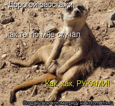 - Дорогой расскажи, как ты по мне скучал. - Как, как, РУКАМИ!... Котоматрица: - Дорогой расскажи, как ты по мне скучал. - Как, как, РУКАМИ!