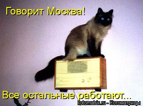 Говорит Москва! Все остальные работают...... Котоматрица: Говорит Москва! Все остальные работают...