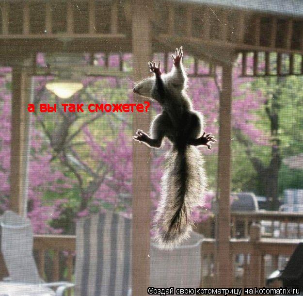 а вы так сможете? а вы так сможете? а вы так сможете?... Котоматрица: а вы так сможете? а вы так сможете? а вы так сможете?