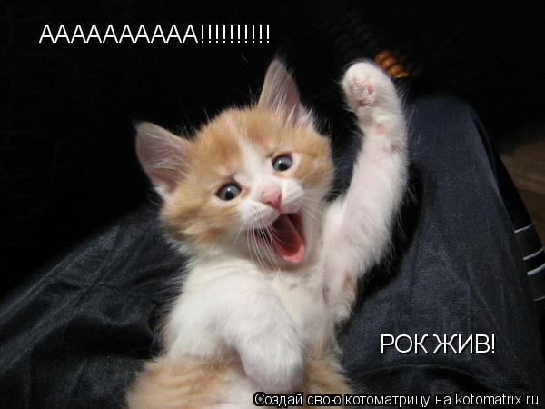 АААААААААА!!!!!!!!!! РОК ЖИВ!... Котоматрица: АААААААААА!!!!!!!!!! РОК ЖИВ!