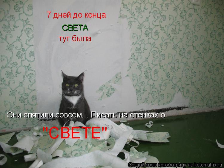 Котоматрица: 7 дней до конца СВЕТА тут была Они спятили совсем... Писать на стенках о  'СВЕТЕ'