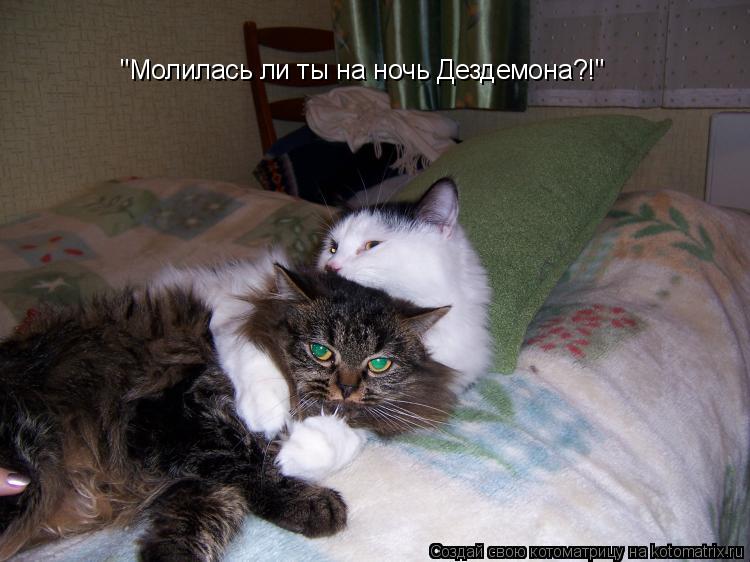 "Молилась ли ты на ночь Дездемона?!"... Котоматрица: "Молилась ли ты на ночь Дездемона?!"
