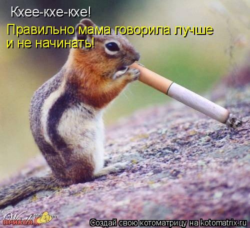 Кхее-кхе-кхе! Правильно мама говорила лучше и не начинать!... Котоматрица: Кхее-кхе-кхе! Правильно мама говорила лучше и не начинать!