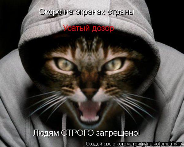 Скоро на экранах страны Усатый дозор Людям СТРОГО запрещено!... Котоматрица: Скоро на экранах страны Усатый дозор Людям СТРОГО запрещено!