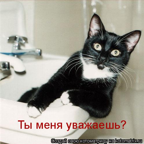 Котоматрица: Ты меня уважаешь?