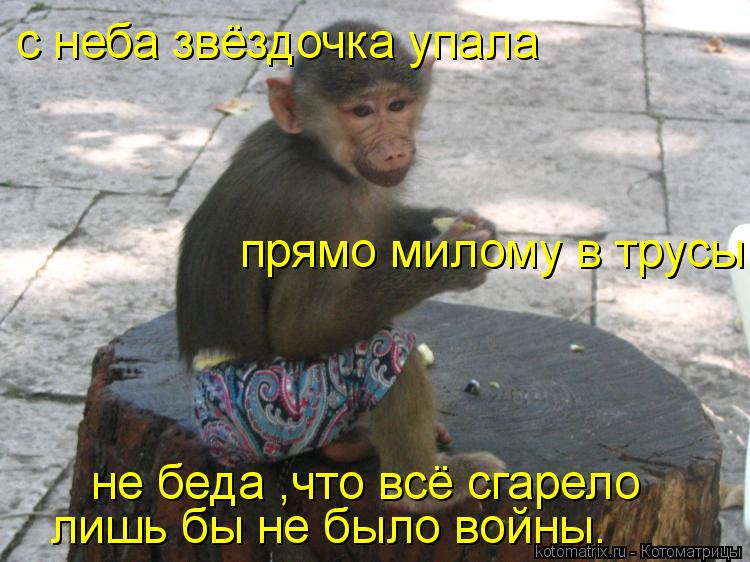 с неба звёздочка упала прямо милому в трусы не беда ,что всё сгарело лишь бы не было войны.... Котоматрица: с неба звёздочка упала прямо милому в трусы не беда ,что всё сгарело лишь бы не было войны.