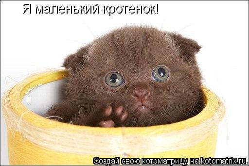 Я маленький кротенок!... Котоматрица: Я маленький кротенок!