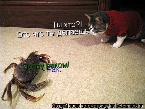 Ты хто?! - - Рак. Это что ты делаешь?! - - Ползу раком!... Котоматрица: Ты хто?! - - Рак. Это что ты делаешь?! - - Ползу раком!