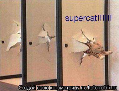 supercat!!!!!!... Котоматрица: supercat!!!!!!