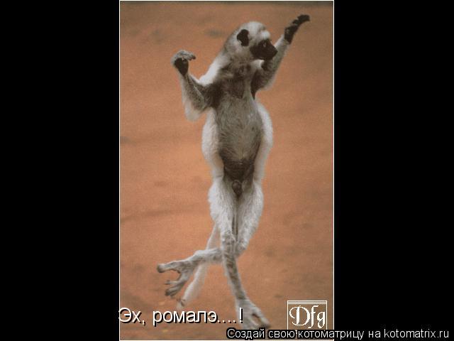 Эх, ромалэ....!... Котоматрица: Эх, ромалэ....!