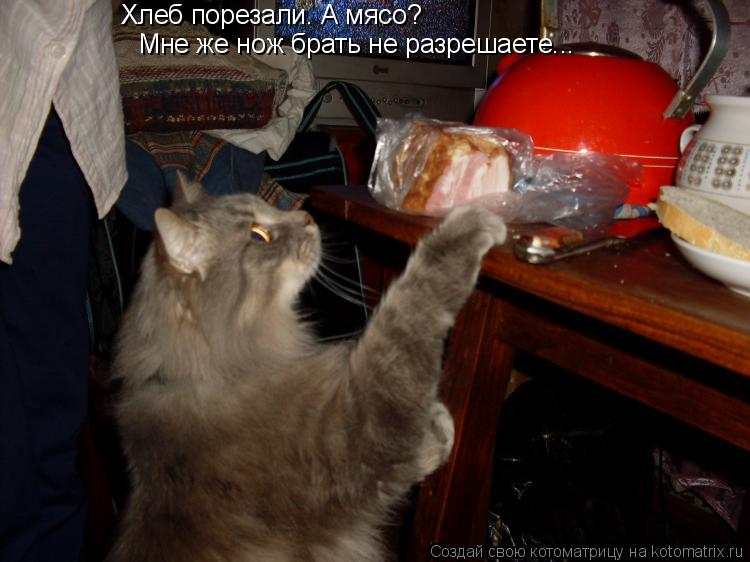 Хлеб порезали. А мясо? Мне же нож брать не разрешаете...... Котоматрица: Хлеб порезали. А мясо? Мне же нож брать не разрешаете...