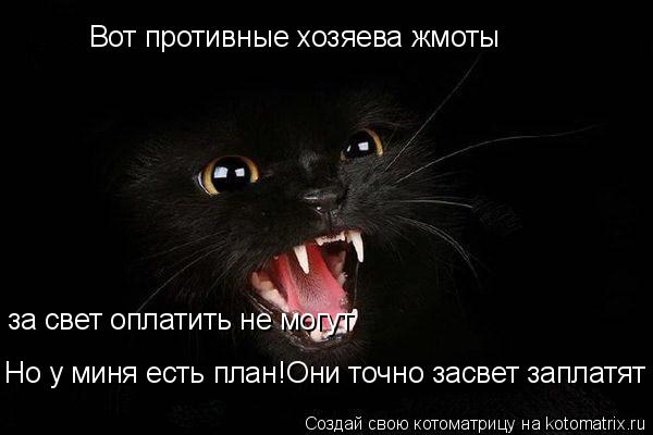 Котоматрица: Вот противные хозяева жмоты  за свет оплатить не могут  Но у миня есть план!Они точно засвет заплатят