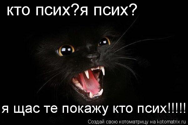 кто псих?я псих? я щас те покажу кто псих!!!!!!!... Котоматрица: кто псих?я псих? я щас те покажу кто псих!!!!!!!