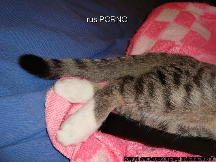 rus PORNO... Котоматрица: rus PORNO