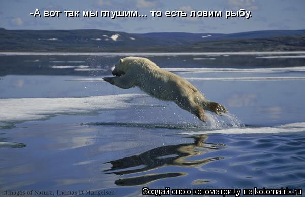 -А вот так мы глушим... то есть ловим рыбу.... Котоматрица: -А вот так мы глушим... то есть ловим рыбу.