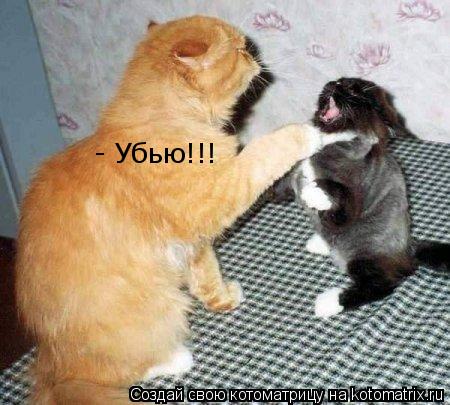 - Убью!!!... Котоматрица: - Убью!!!