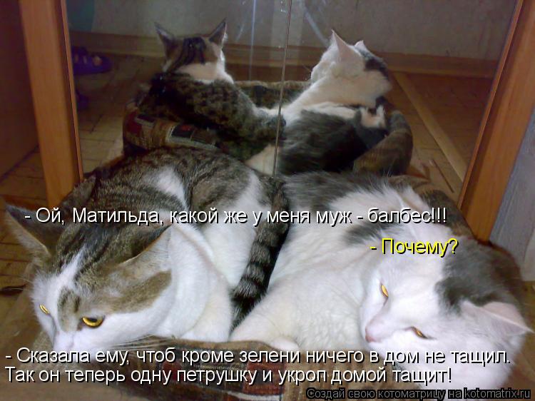 - Ой, Матильда, какой же у меня муж - балбес!!! - Почему? - Сказала ему, чтоб кроме зелени ничего в д... Котоматрица: - Ой, Матильда, какой же у меня муж - балбес!!! - Почему? - Сказала ему, чтоб кроме зелени ничего в дом не тащил. Так он теперь одну петрушку и укро