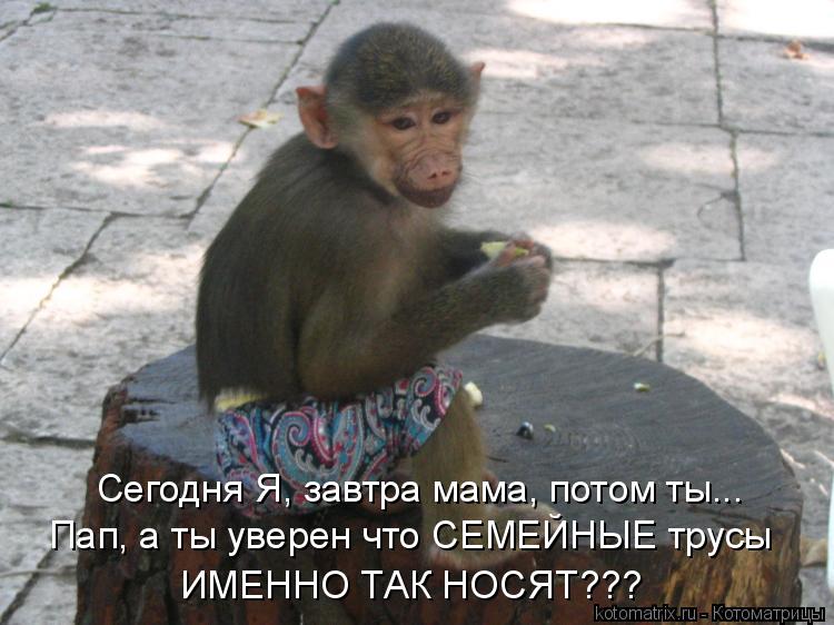 Сегодня Я, завтра мама, потом ты... Пап, а ты уверен что СЕМЕЙНЫЕ трусы ИМЕННО ТАК НОСЯТ???... Котоматрица: Сегодня Я, завтра мама, потом ты... Пап, а ты уверен что СЕМЕЙНЫЕ трусы ИМЕННО ТАК НОСЯТ???