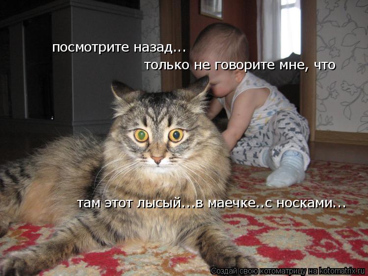 посмотрите назад... только не говорите мне, что там этот лысый...в маечке..с носками...... Котоматрица: посмотрите назад... только не говорите мне, что там этот лысый...в маечке..с носками...