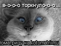в-о-о-о торкнуло-о-о...... Котоматрица: в-о-о-о торкнуло-о-о...