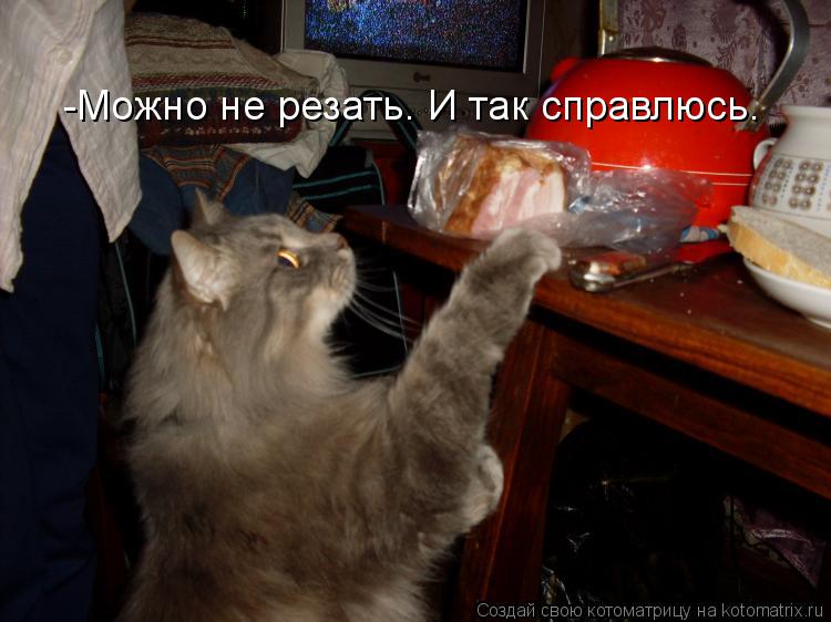 Котоматрица: -Можно не резать. И так справлюсь.