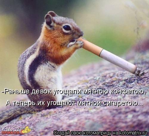 -Раньше девок угощали мятною конфетою, А теперь их угощают мятной сигаретою...... Котоматрица: -Раньше девок угощали мятною конфетою, А теперь их угощают мятной сигаретою...