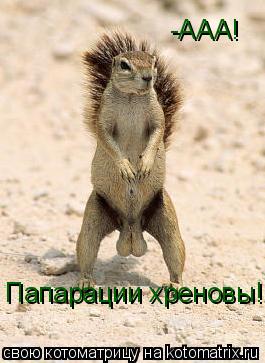 -ААА! Папарации хреновы!... Котоматрица: -ААА! Папарации хреновы!