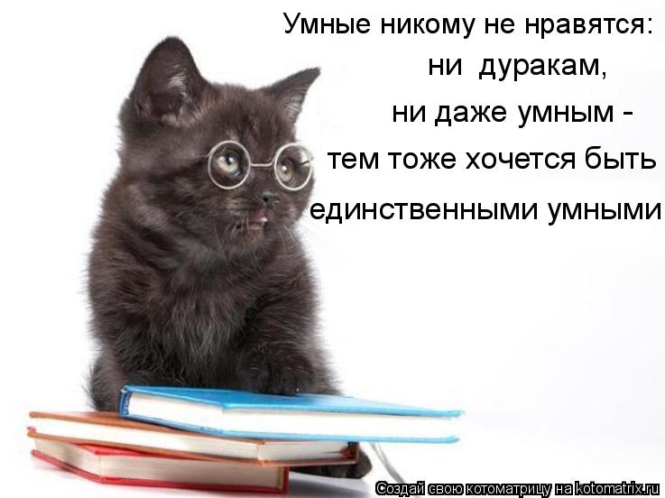 Котоматрица: Умные никому не нравятся:  ни  дуракам,  ни даже умным - тем тоже хочется быть  единственными умными