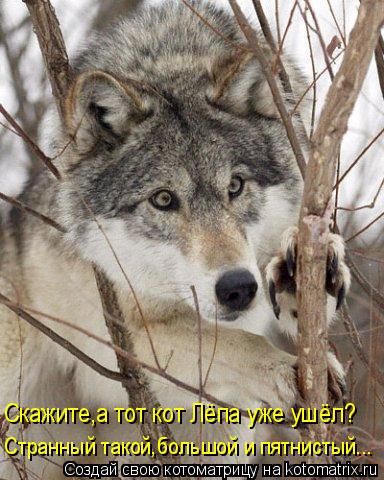 Скажите,а тот кот Лёпа уже ушёл? Странный такой,большой и пятнистый...... Котоматрица: Скажите,а тот кот Лёпа уже ушёл? Странный такой,большой и пятнистый...